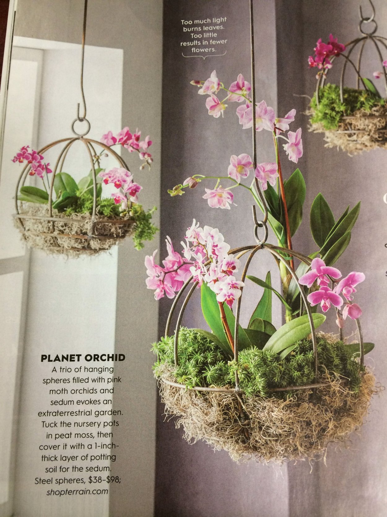 Подвесные корзинки для орхидей