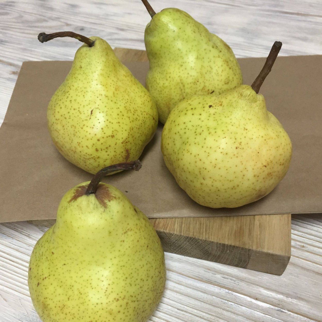 Мраморная груша полукарлик