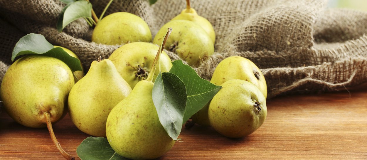 Груша бергамот Трубецкого