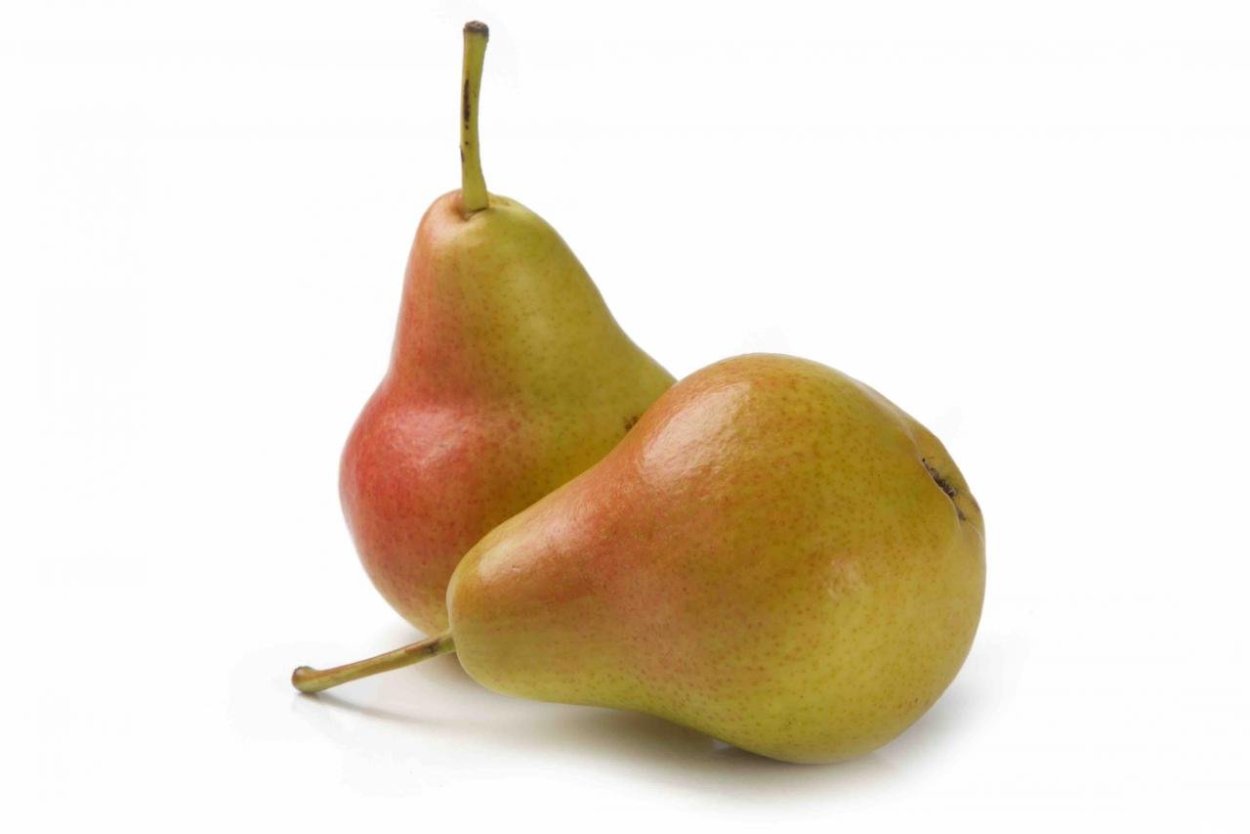 Колоновидная груша г22