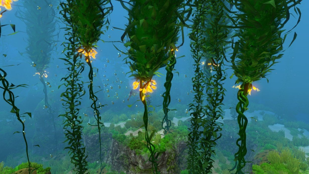 Subnautica лес водорослей