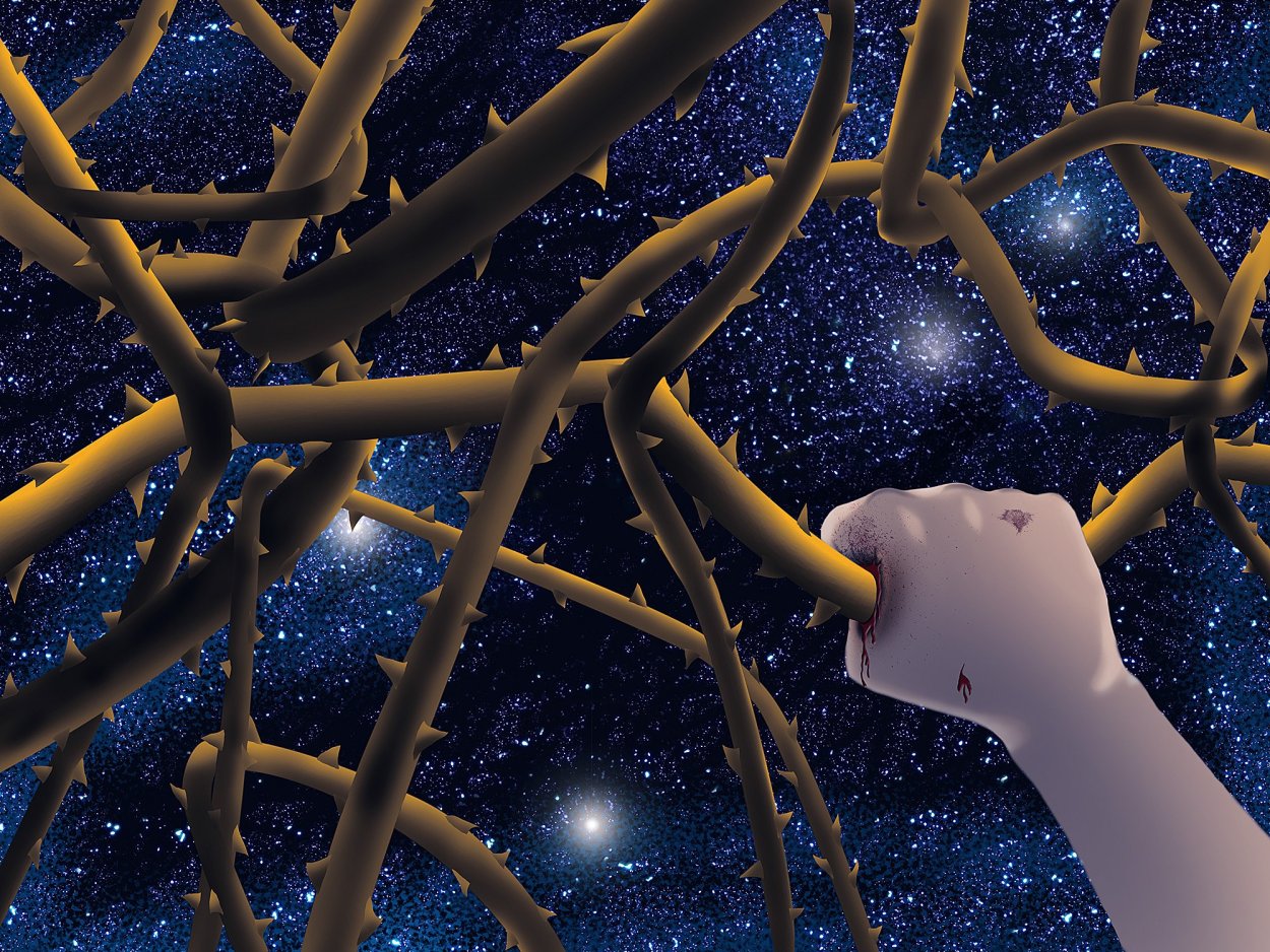 Терновый куст цветы