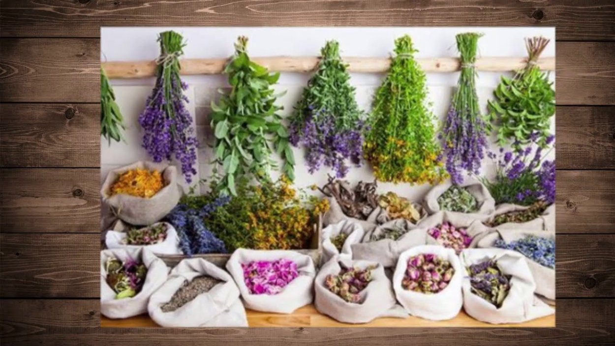 Растительные материалы