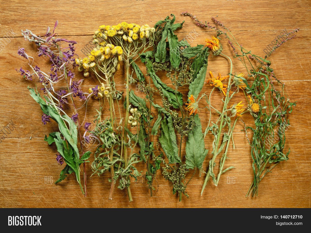 Пучки лекарственных трав