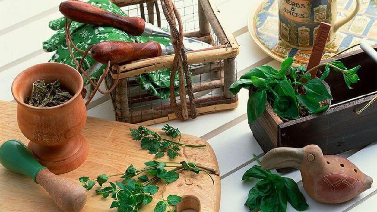 Лекарственные травы на столе вид сверху