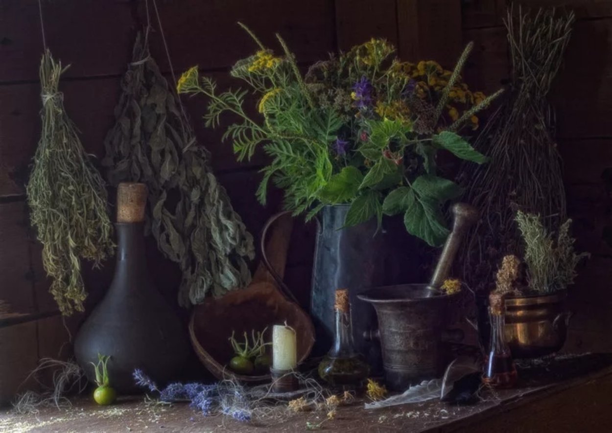 Целебные травы