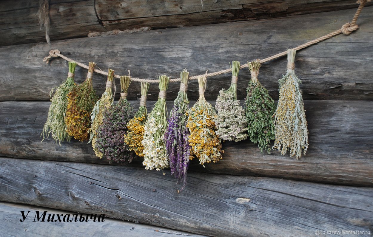 Настои лекарственных растений