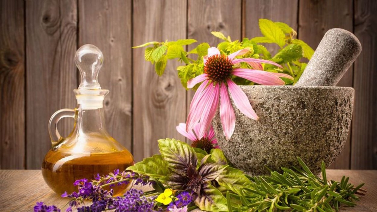 Снадобья из трав