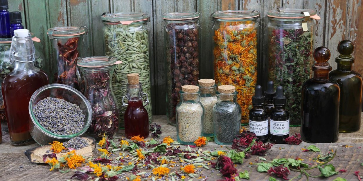 Лекарственные и пряные травы