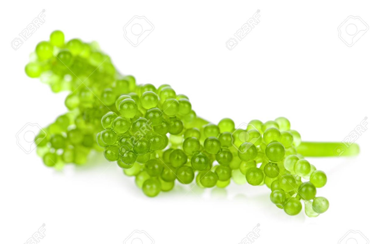 Green caviar