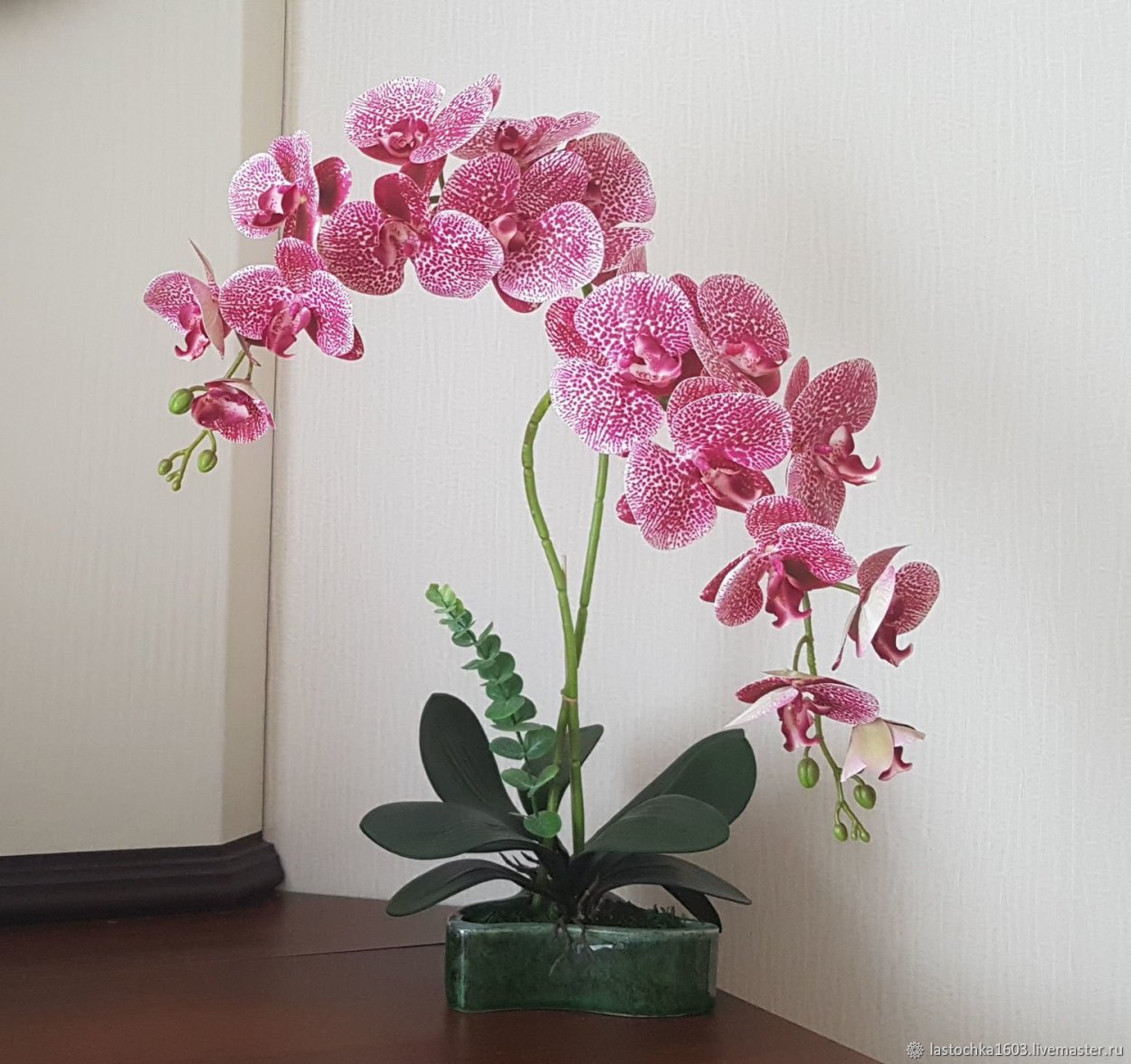 Ола орхидея