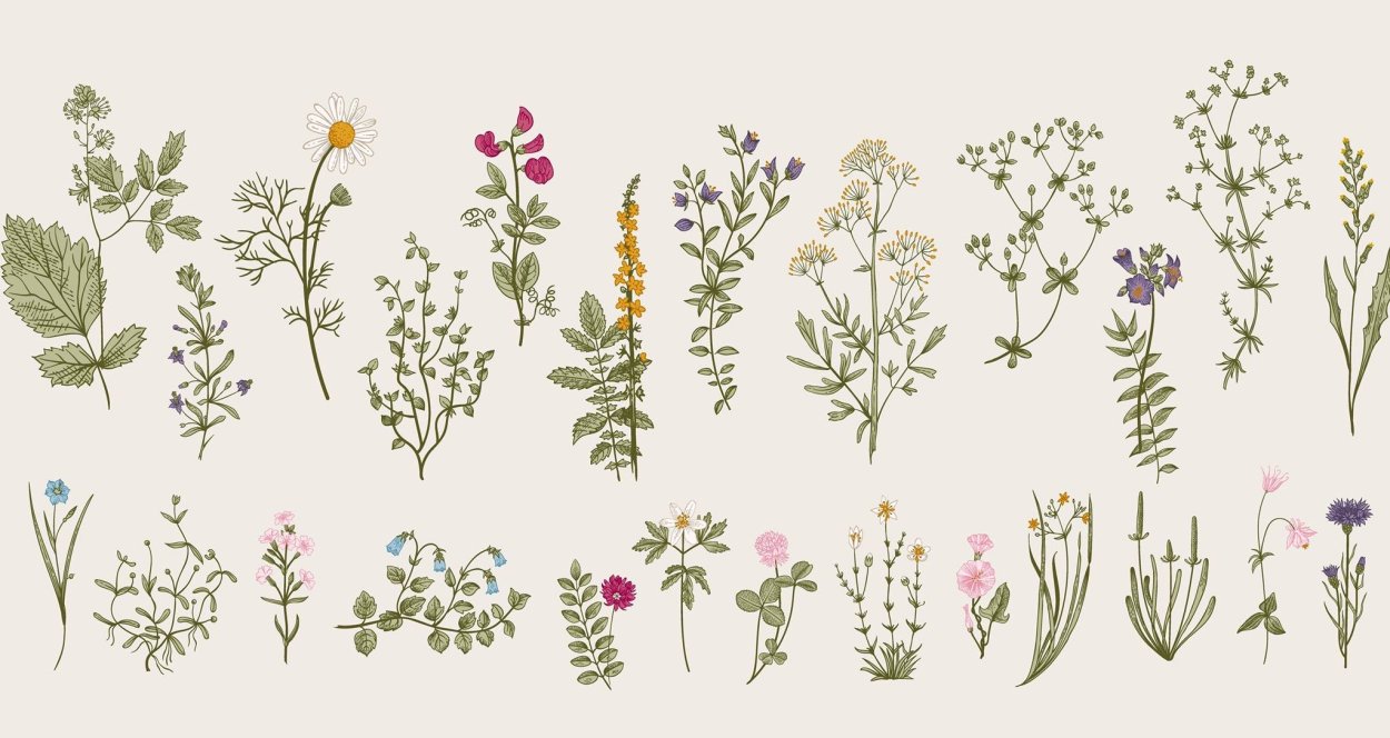 Эскизы небольших татуировок ботаника для девушек на руку