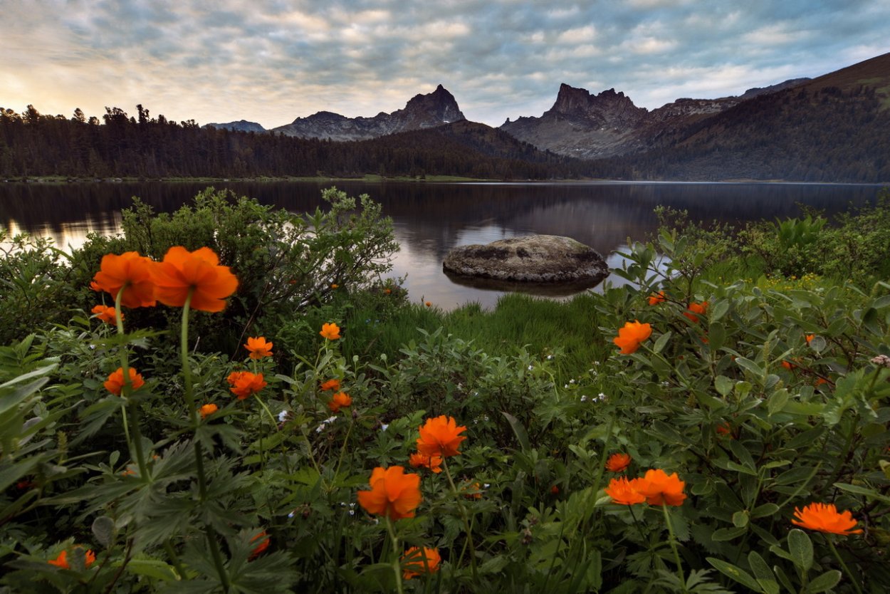 Болотистые поля Нидерландов