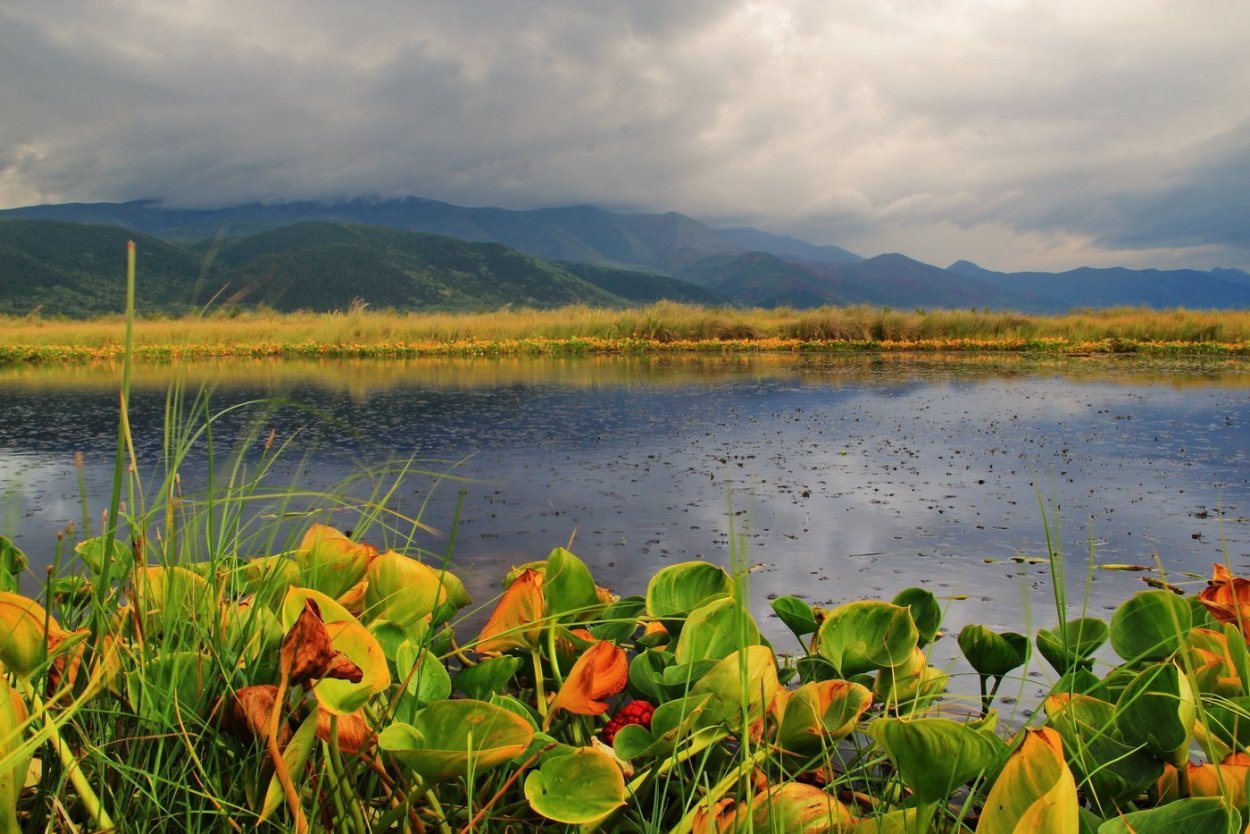 Камыш-Самарские озёра
