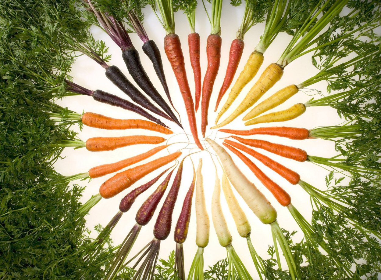 Морковь Купер