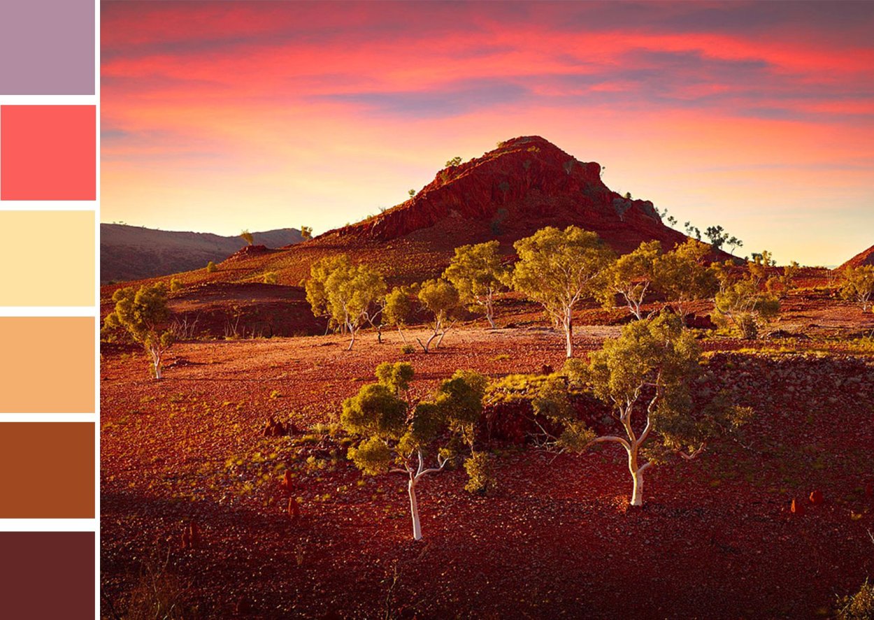 Тасмания природные зоны