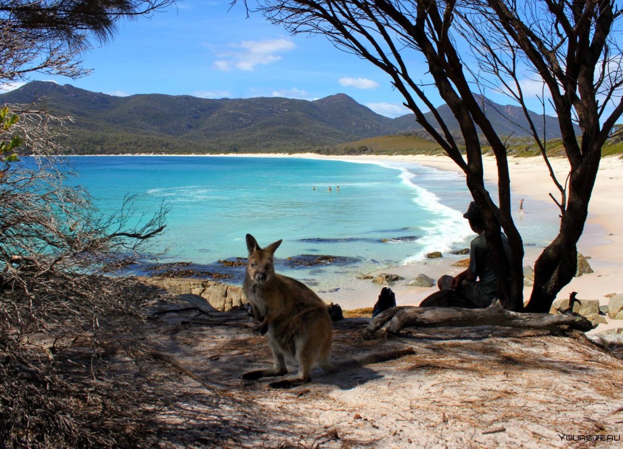 Фрейсине Тасмания