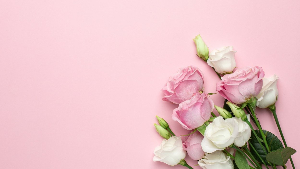 Нежный цветок