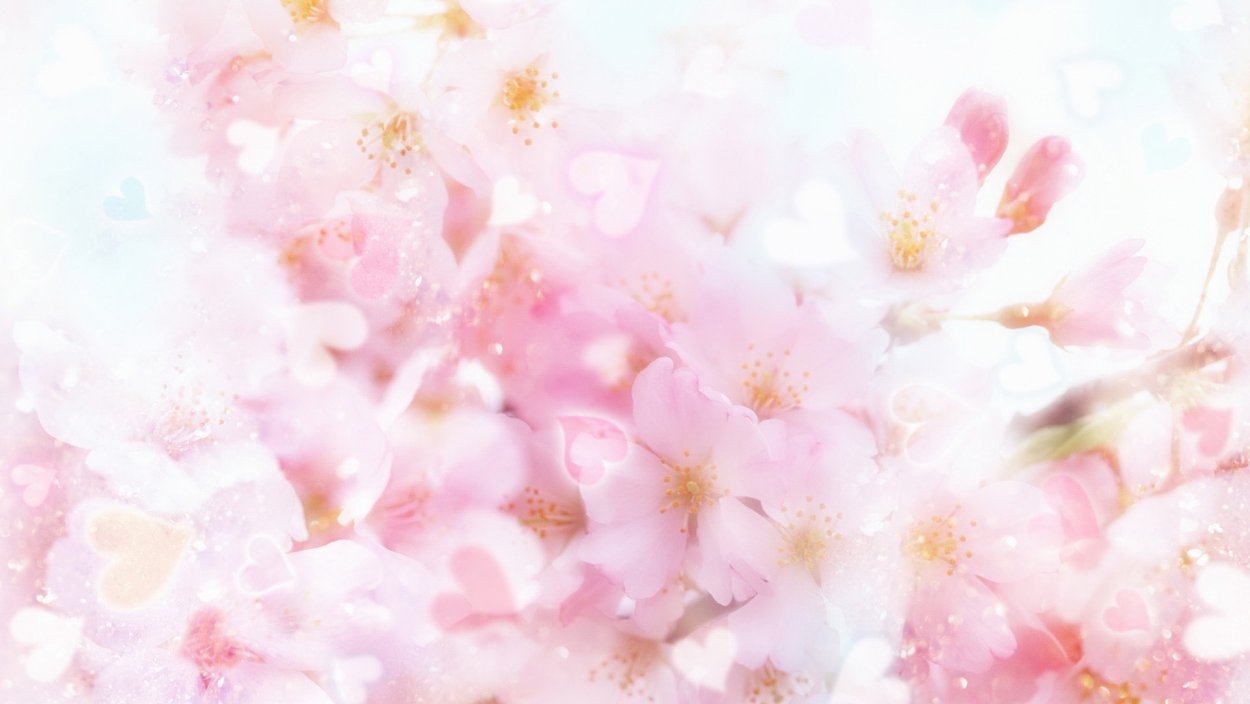 Цветы в пастельных тонах