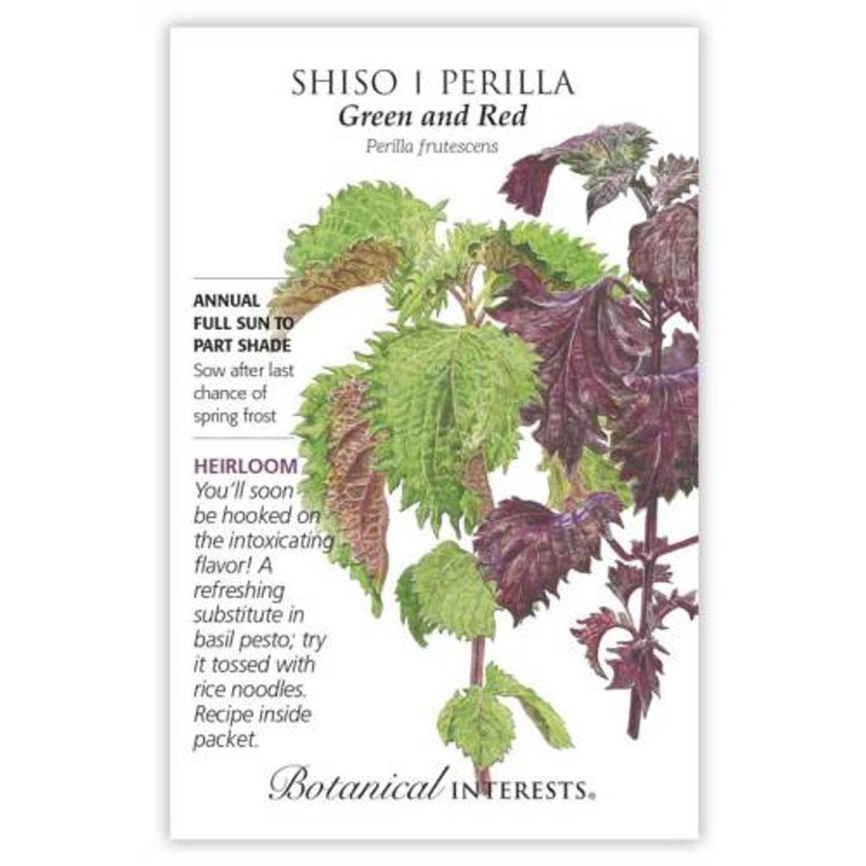 Шисо перилла