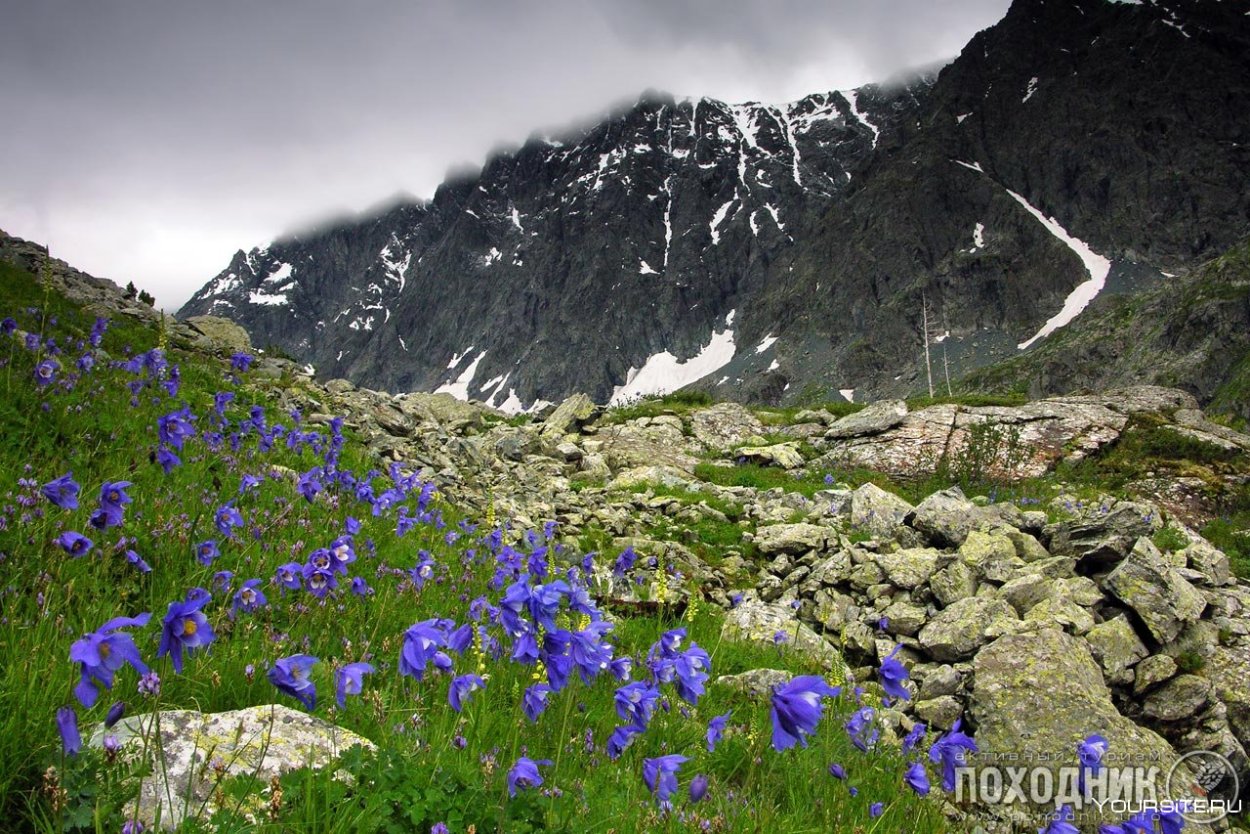 Гора Монблан и Альпийские Луга