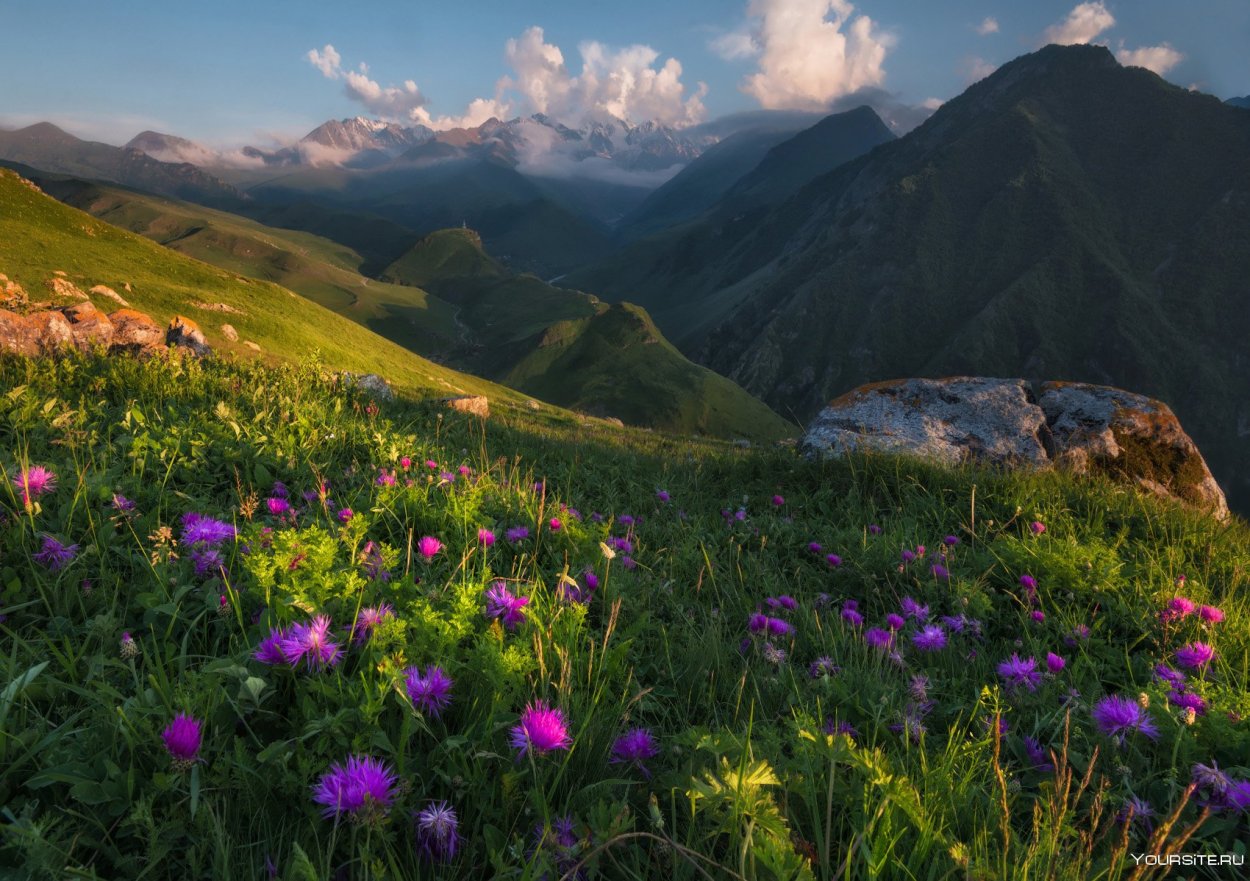 Альпийские Луга Северного Кавказа