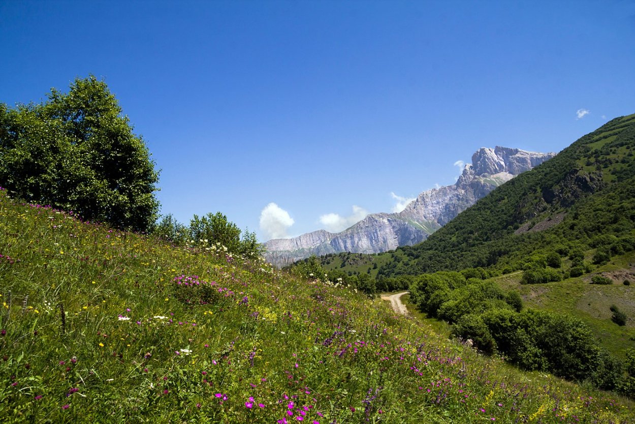 Гора Ачишхо красная Поляна