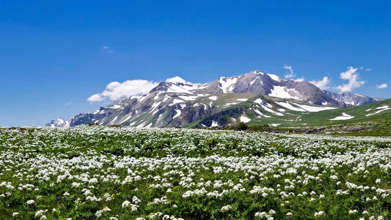 Северная Осетия горы Альпийские Луга