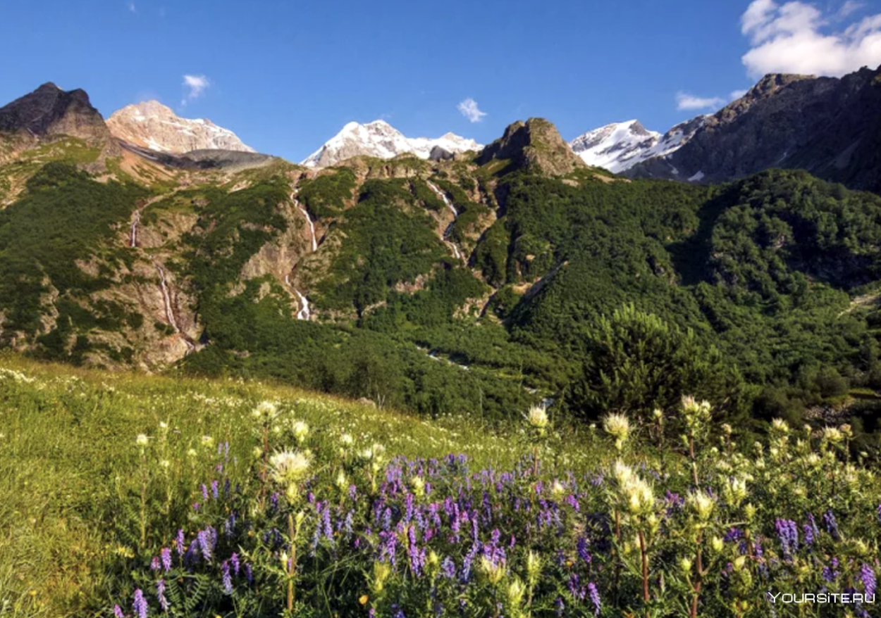 Домбай Альпийские Луга
