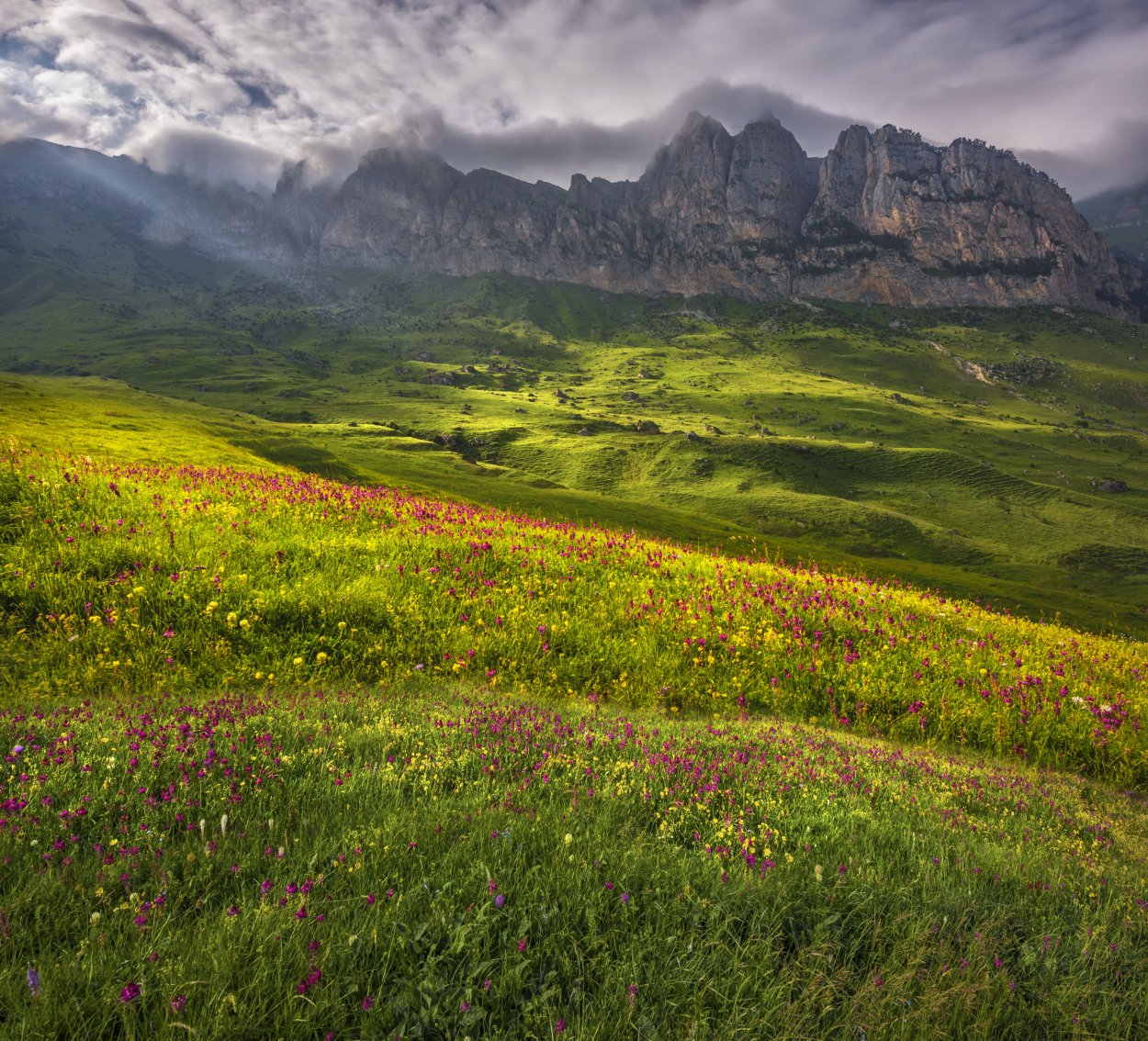 Национальный парк Алания