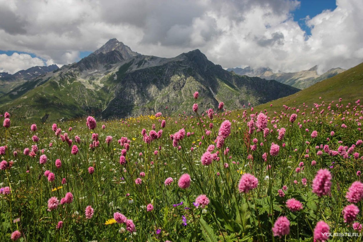 Национальный парк "Приэльбрусье" (Кабардино-Балкария)