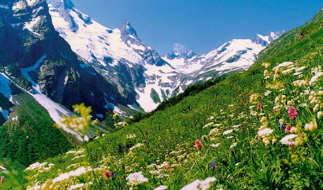 Плато Лаго-Наки Альпийские Луга