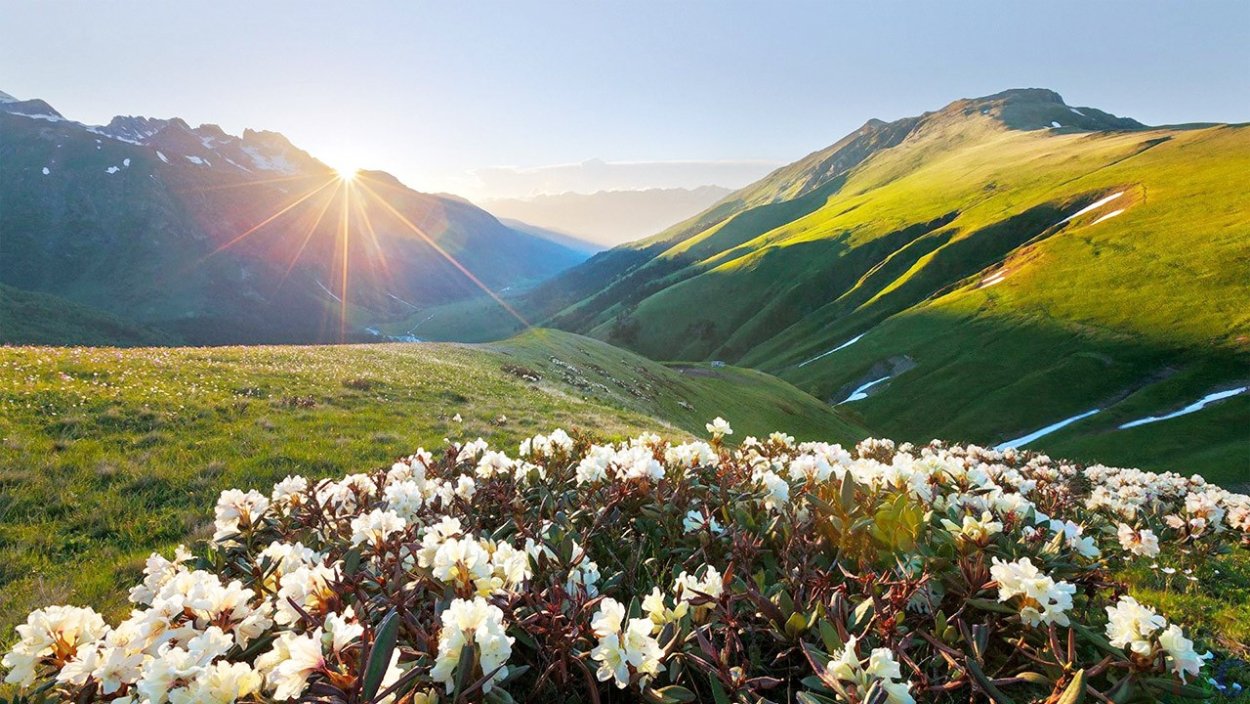 Альпийские Луга Северного Кавказа