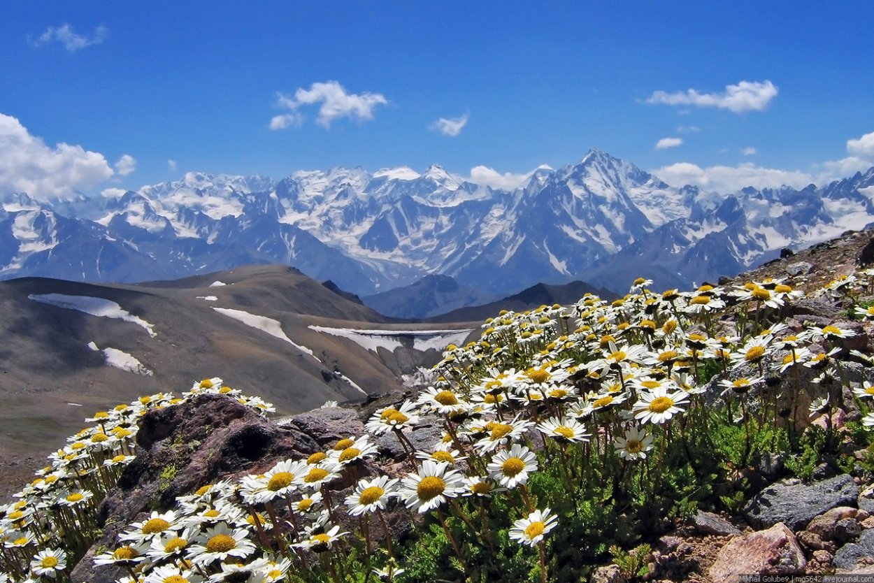 Национальный парк Долина цветов (Уттаракханд, Индия)