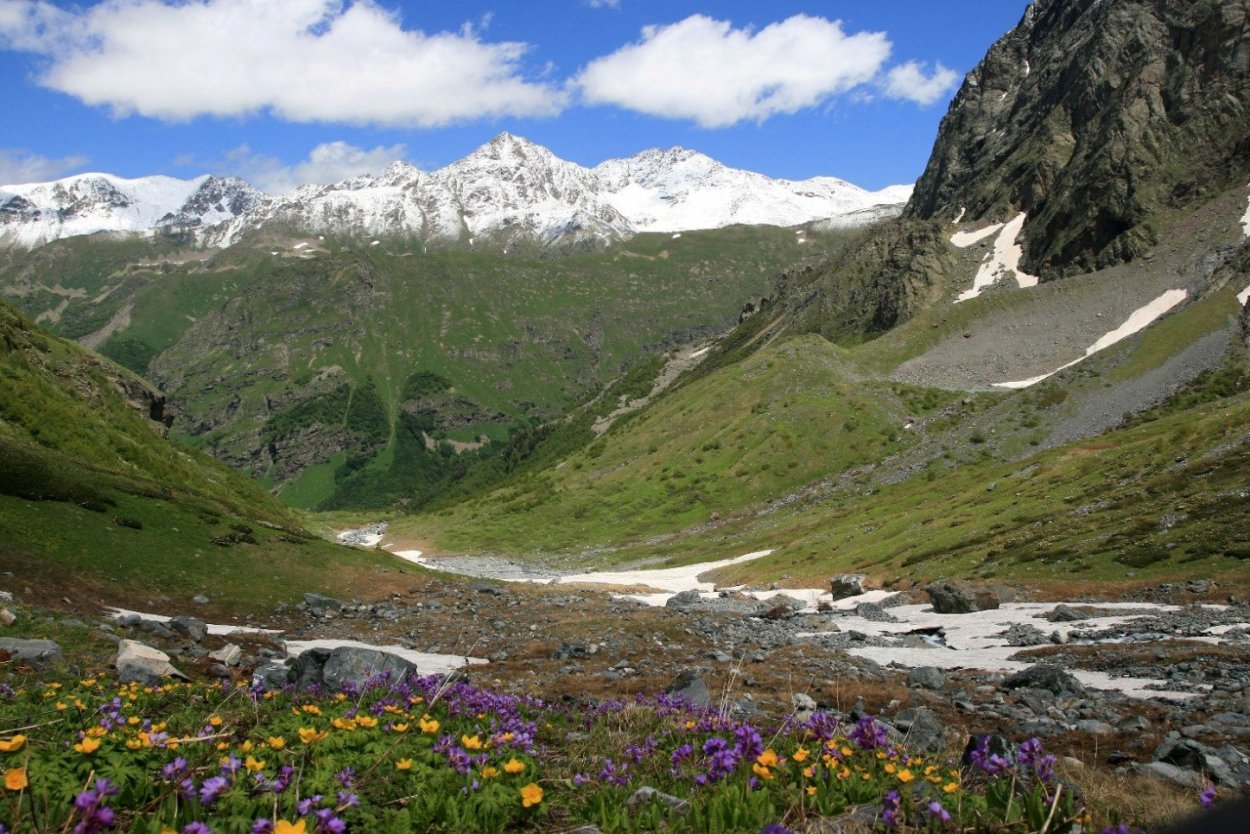 Долина цветов - национальный парк в Гималаях