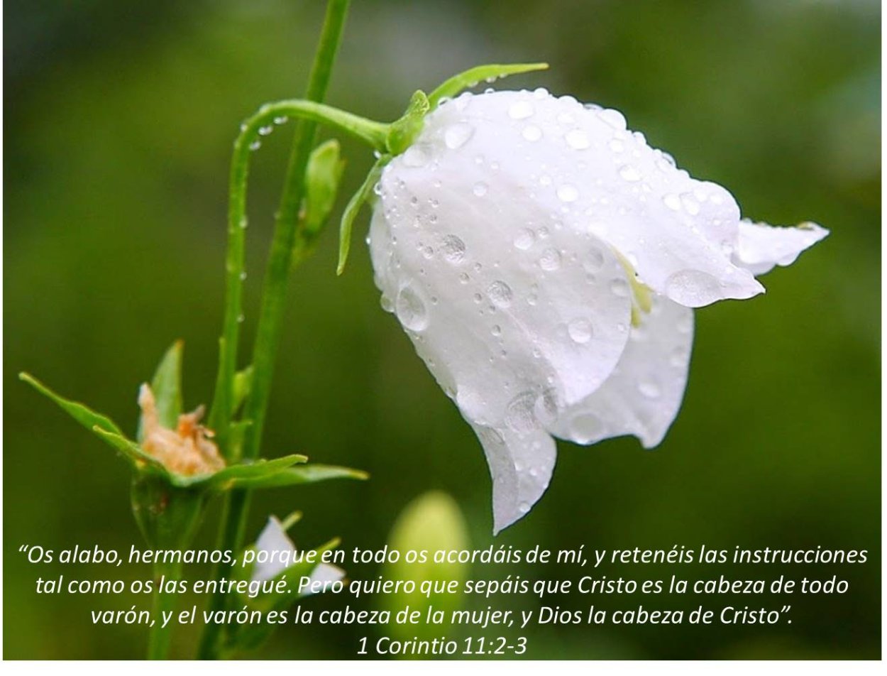 Колокольчик "цветы"