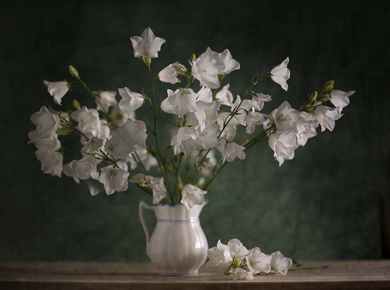 Цветы колокольчики в вазе