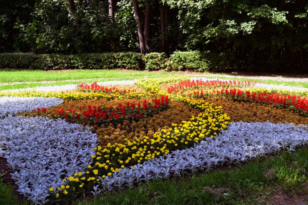 Цветник многолетников непрерывного цветения