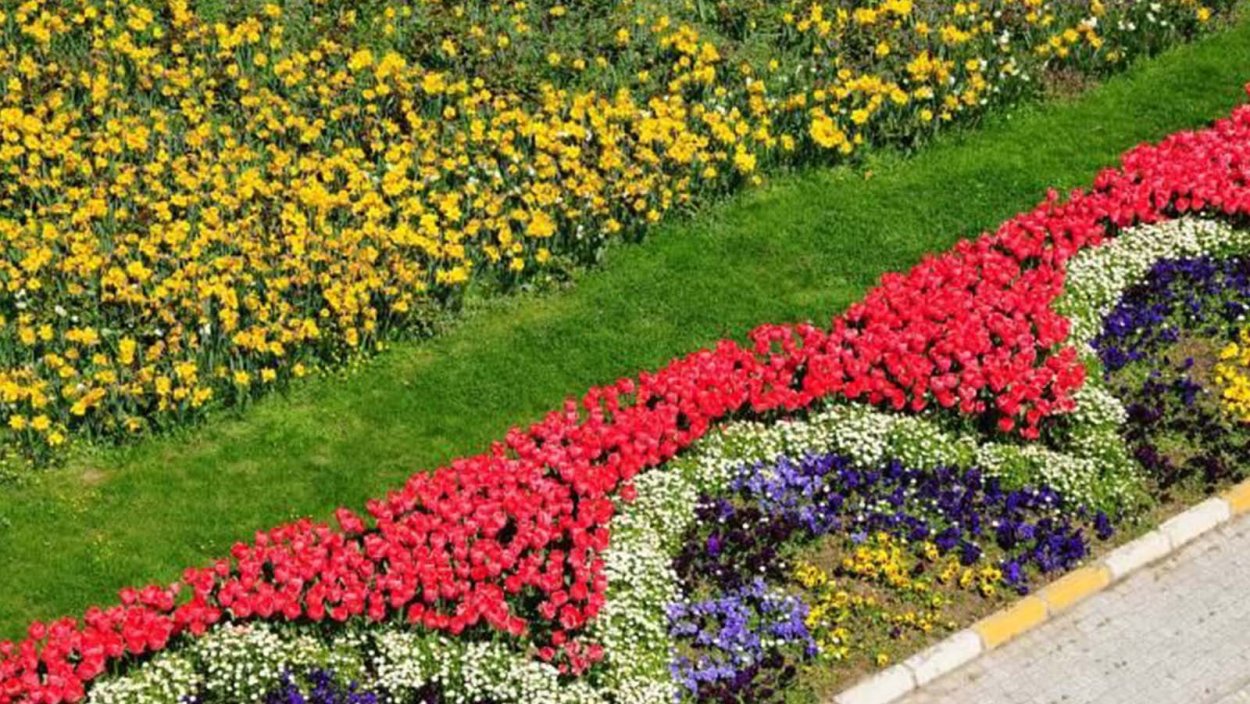 Арабеска клумба