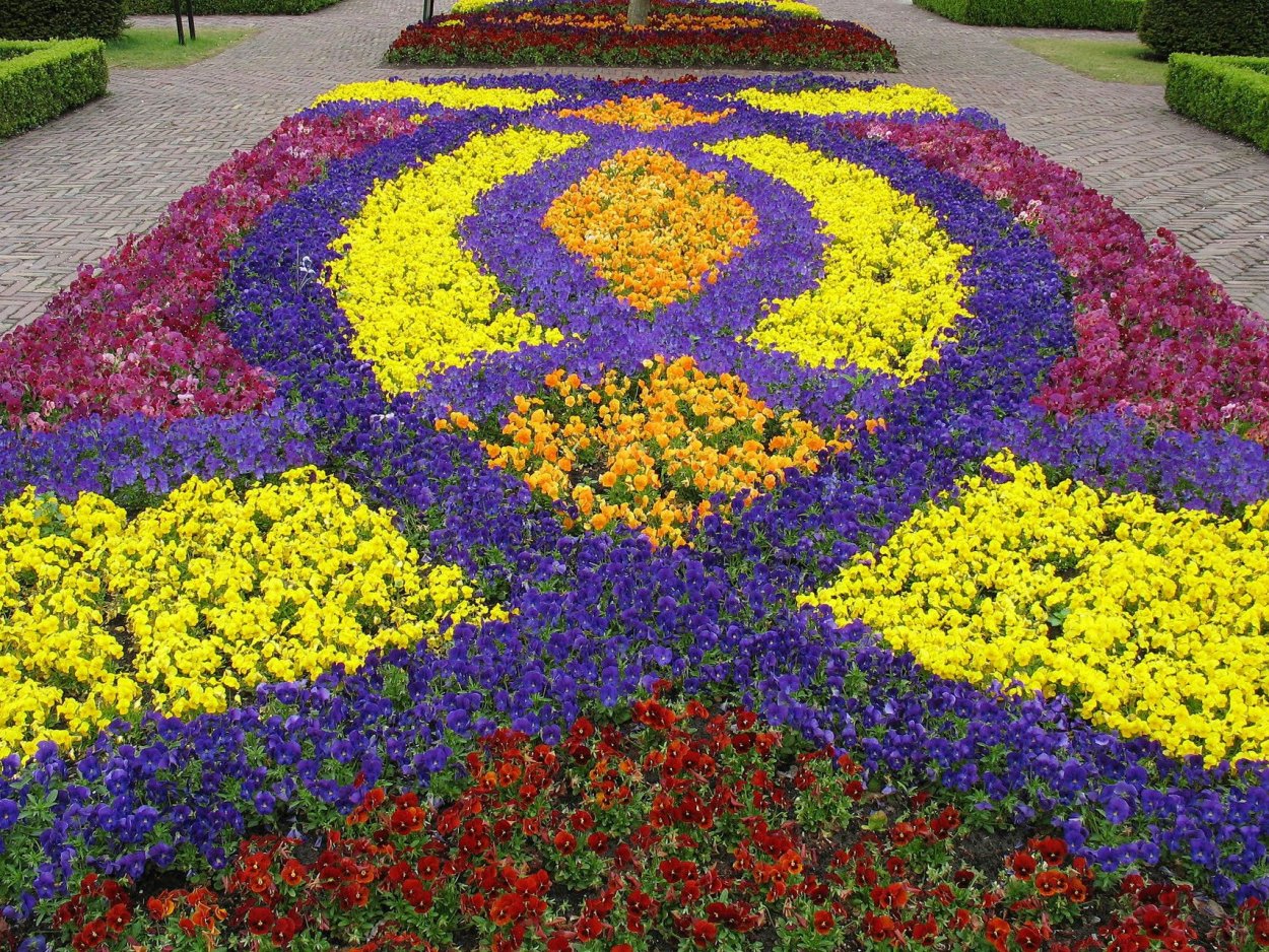 Дизайнерские клумбы