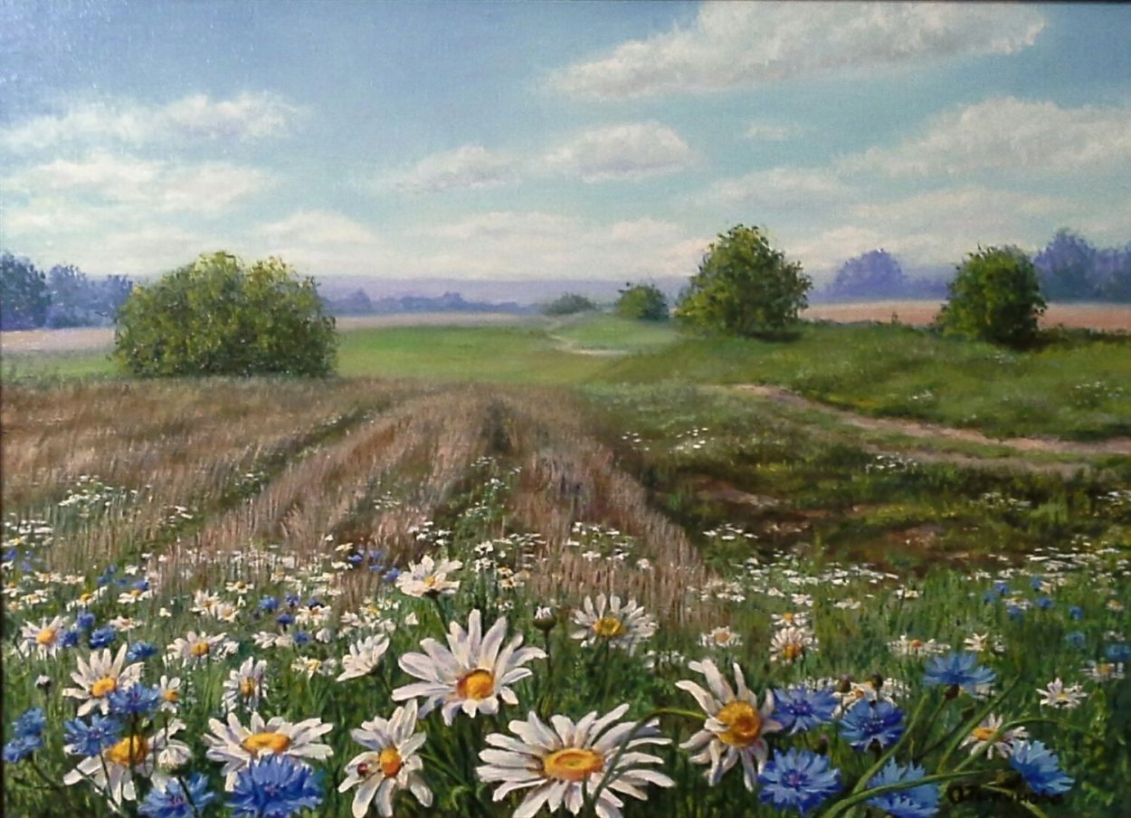 Летние травы