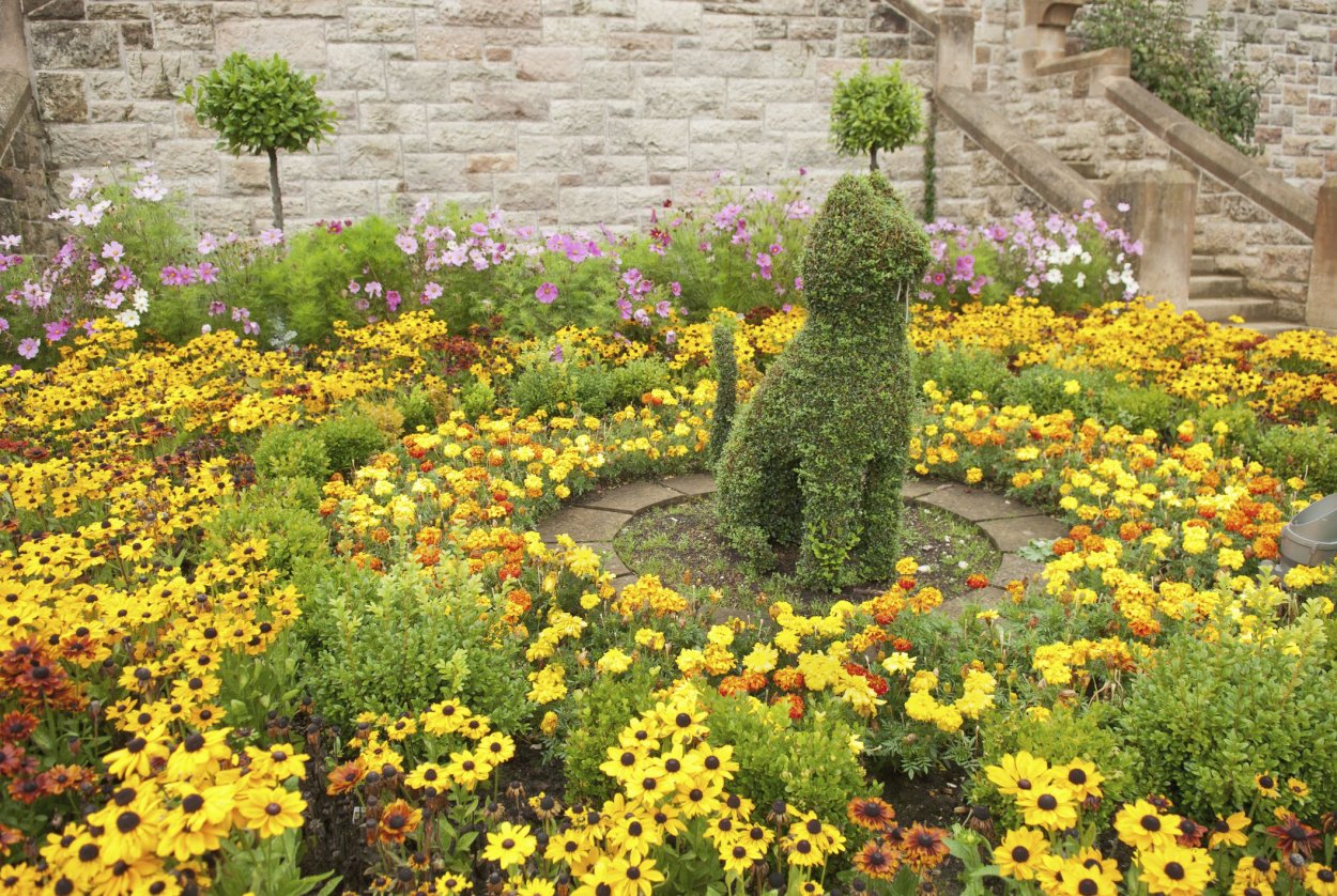 Желтая клумба