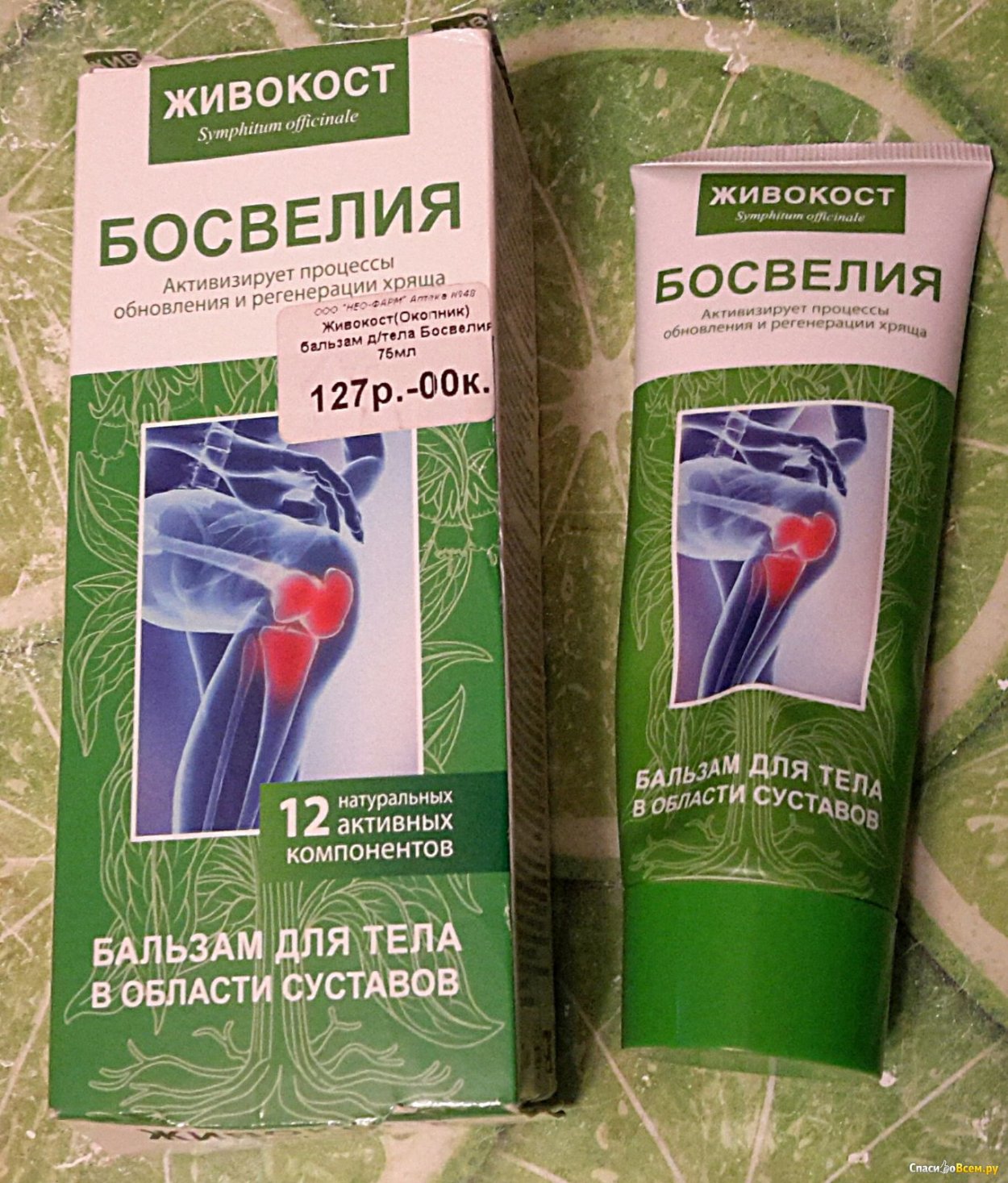 Окопник (Symphytum)