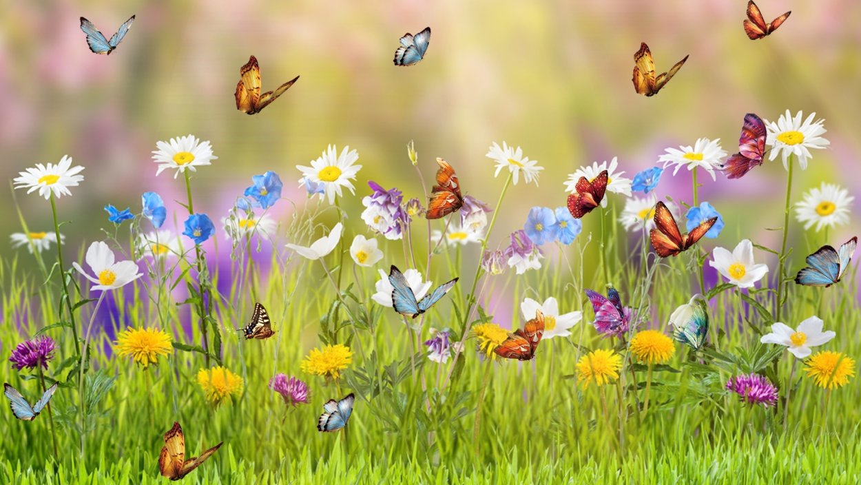 Мэри Дипнолл (Mary Dipnall)