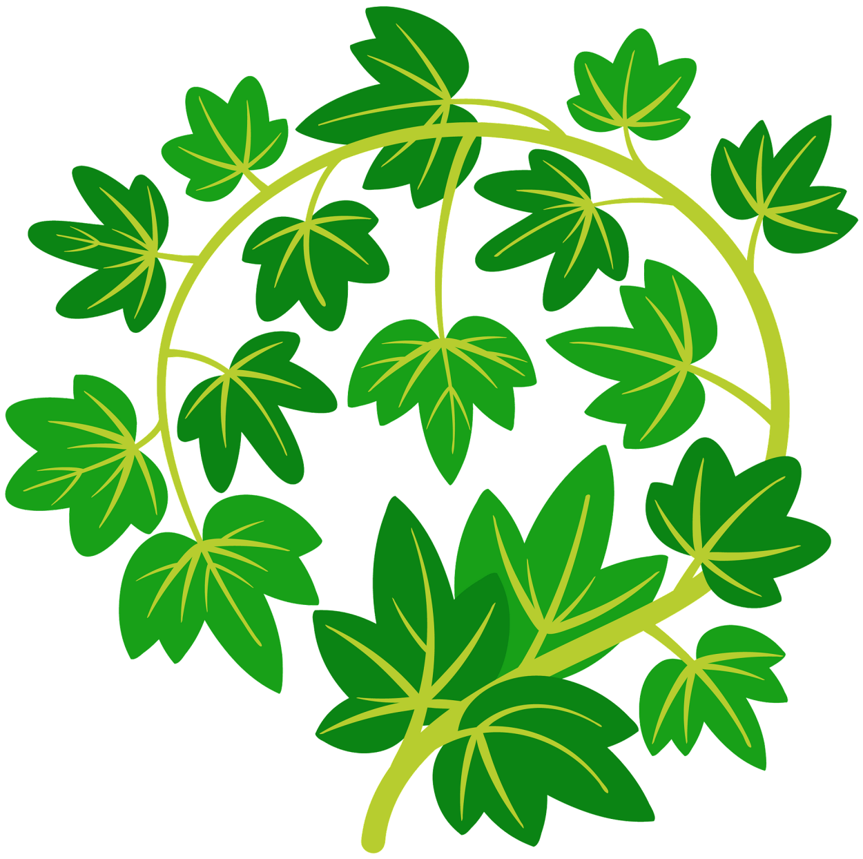 Папоротник Лесной ампельный