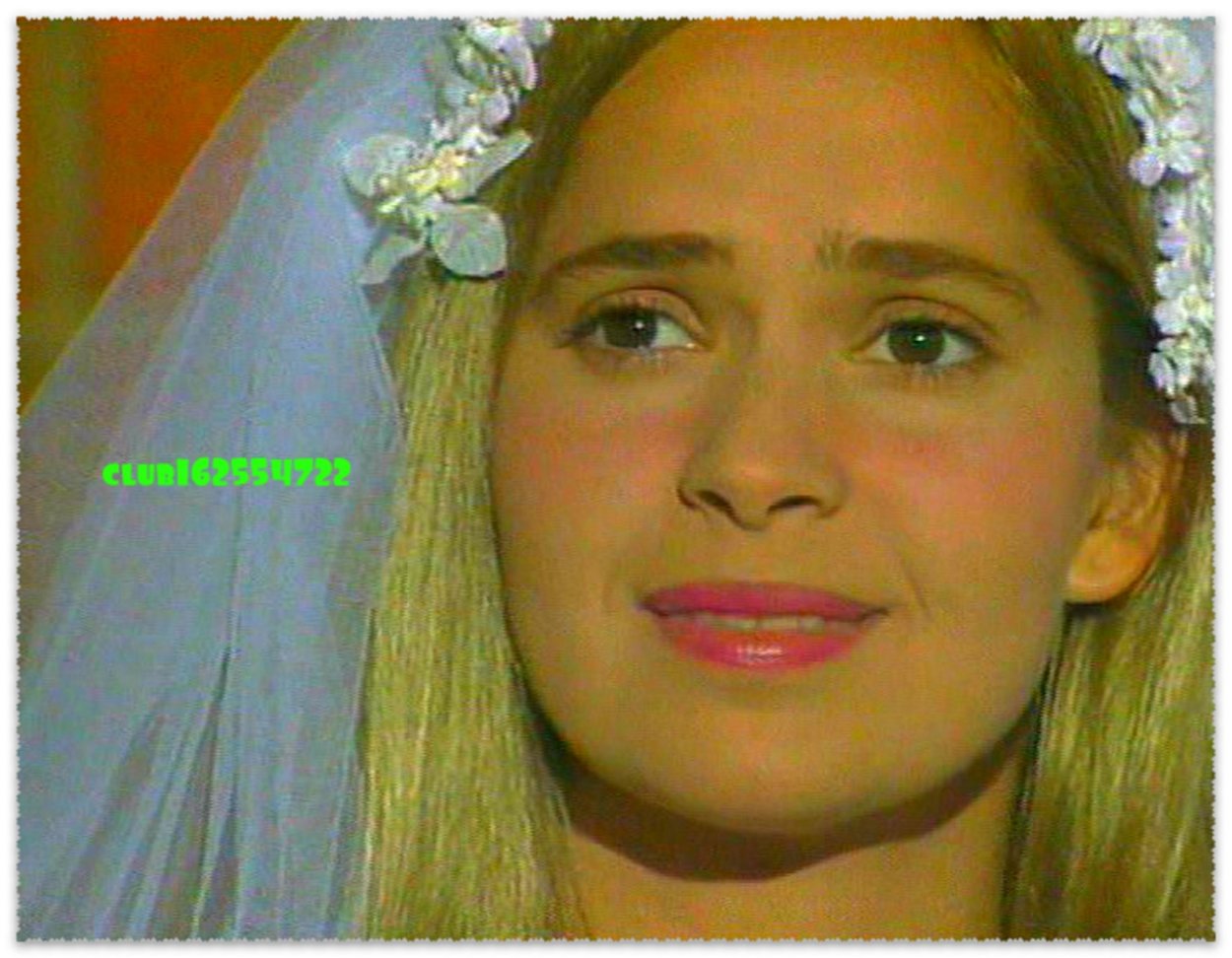 Гвоздичное дерево