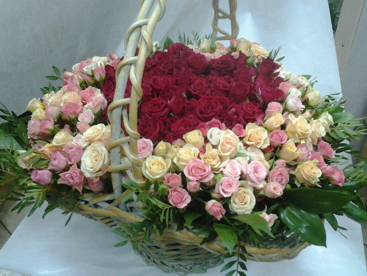 Цветы розы много