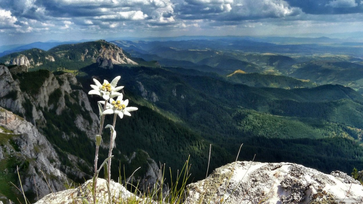 Национальный парк "Приэльбрусье" (Кабардино-Балкария)
