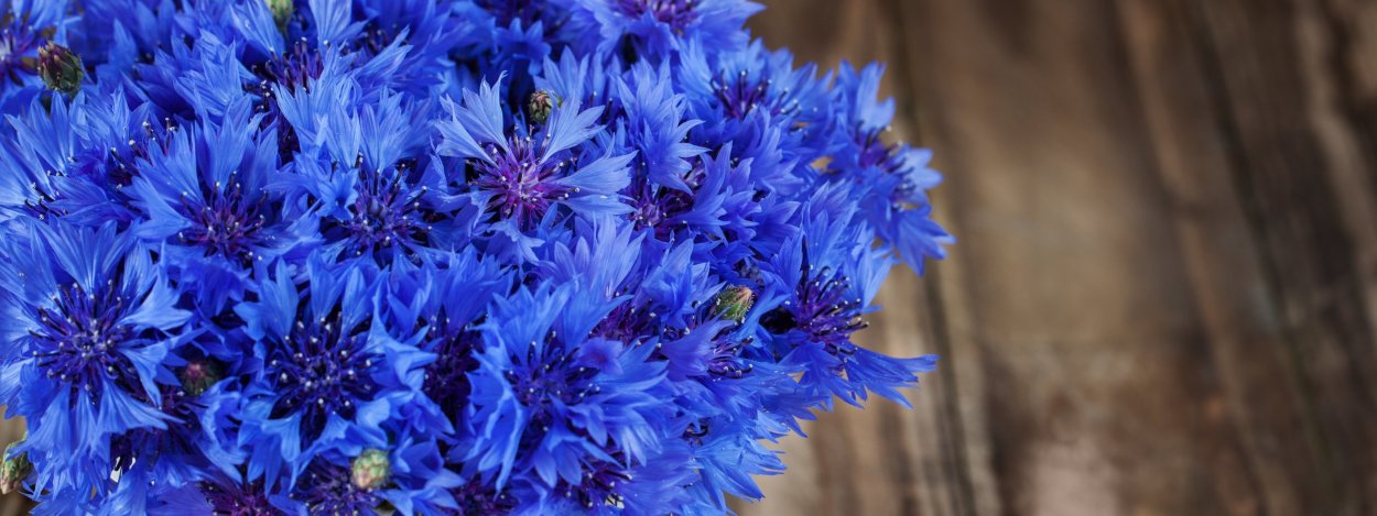 Васильковый букет