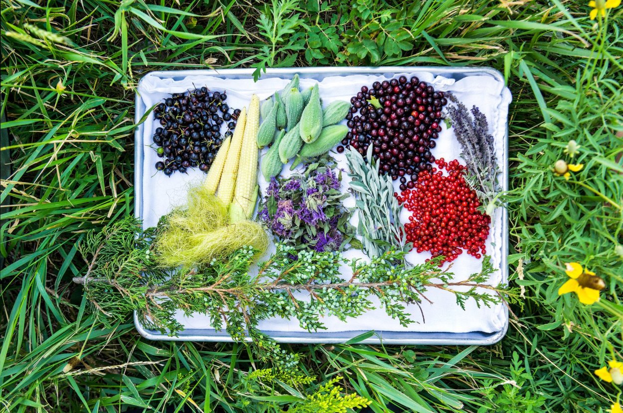 Несъедобные Лесные грибы